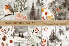 Evergreen Frost Monochrome Winter Forest Backgrounds Product Image 1