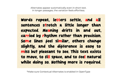 Everink Loose - Playful Bold Font Product Image 7