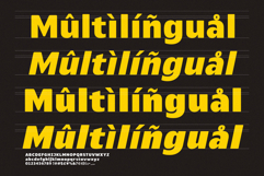 Everlo Sans Bold &amp; Friendly Display Typeface Product Image 9