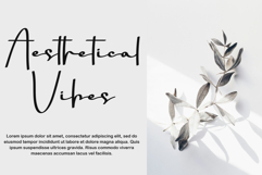 Everyday Product Image 6