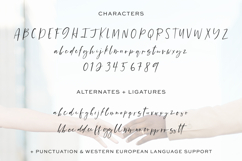 Everylove Script Product Image 10