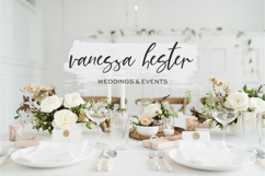 Everylove Script Product Image 4