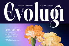 Evolugi - Modern Serif Font Product Image 1
