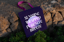 Evolugi - Modern Serif Font Product Image 2