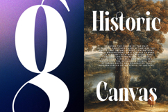 Evolugi - Modern Serif Font Product Image 3