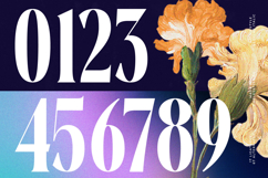 Evolugi - Modern Serif Font Product Image 14