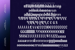 Evolugi - Modern Serif Font Product Image 18