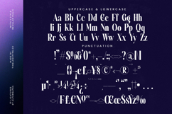 Evolugi - Modern Serif Font Product Image 19