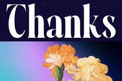 Evolugi - Modern Serif Font Product Image 20