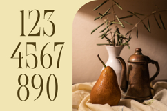 Exago Maona - Vintage Serif Display Product Image 14