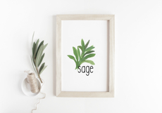Hand painted watercolor Garden Herbs Product Image 3