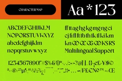 Excite Brands - Modern Editorial Serif Product Image 6