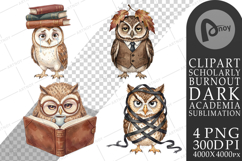 Exhausted Owl Dark Academia Sublimation Product Image 1