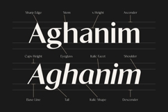 Existo - Luxury Sans Serif Product Image 12