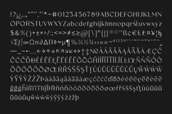 Existo - Luxury Sans Serif Product Image 15