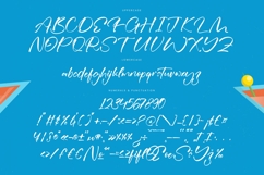 Exotical Drink - Natural Handwritten Font Product Image 18