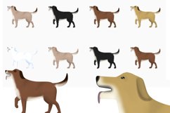 33 Dog PNG Cliparts Product Image 2