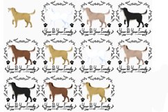 33 Dog PNG Cliparts Product Image 3