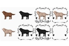 16 Dog PNG Cliparts Product Image 3