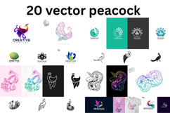 Peacock vector Product Image 1