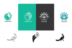Peacock vector Product Image 3