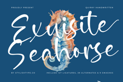 Exuisite Seahorse - Quirky Handwritten Product Image 1