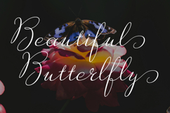Ameliya Script Product Image 6
