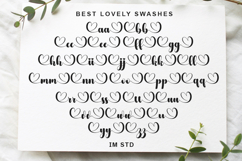 Love - Family Font In 82 Styles Product Image 8