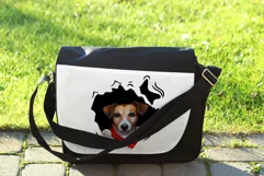 Jeck Russell png pocket jack russell 3 png Product Image 13