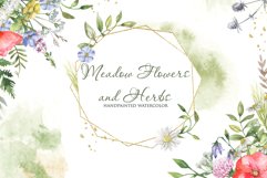 Meadow flowers, wildflowers, herbs watercolor clipart Product Image 1