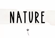 Bonfire - A Bold Handwritten Font - Free Font of The Week Product Image 8
