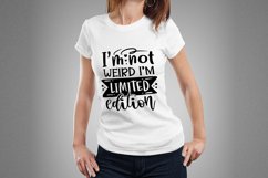 Funny Quote svg Bundle, Sarcastic svg, Sarcastic bundle svg Product Image 4