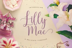 Lilly Mae - A Script Font Product Image 1