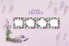 lavender Watercolor png Product Image 5