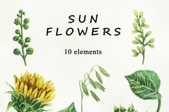 Sunflower Watercolor clipart. Separate elements Product Image 2