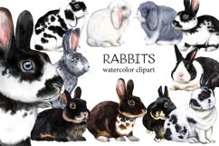 Rabbits watercolor clipart, pets, farm animals, rabbit breed Product Image 1