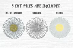 Daisy svg, Daisy flower svg, Gerber svg, Flower svg file Product Image 2