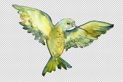 Colibri Small bird Watercolor png Product Image 2