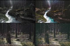 33 Magic Forest Lightroom Presets Product Image 2