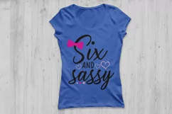 Six and Sassy Svg, Birthday Svg, Sixth Birthday Svg. Product Image 2