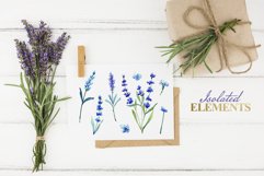 Watercolor lavender PNG JPG set Product Image 7