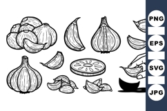 Hand Drawn Garlic Vegetable Clipart for Kitchen Designs Product Image 1