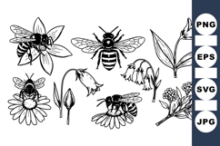 Hand Drawn Bee and Wildflower Vector Clipart Product Image 1