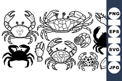 Detailed Crab Vector Clipart For Coastal Designs Product Image 1