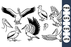 Hand Drawn Pelican Vector Clipart for Crafts Product Image 1