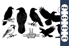 Black Bird Silhouette Clipart Vector for Crafts Product Image 1