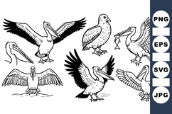 Hand Drawn Pelican Bird Vector Clipart for Crafts Product Image 1