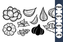 Hand Drawn Garlic Bulb And Clove Clipart Product Image 1