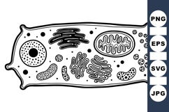 Hand Drawn Cell Structure Diagram SVG Product Image 1