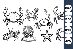 Hand Drawn Crab And Sea Life Vector Product Image 1